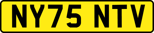 NY75NTV