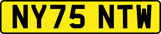 NY75NTW