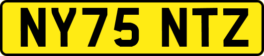 NY75NTZ