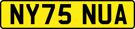 NY75NUA