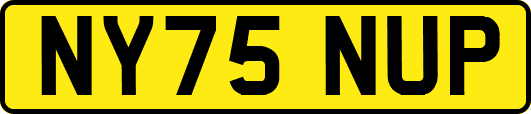 NY75NUP