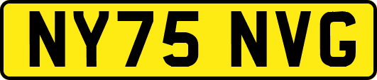 NY75NVG