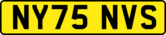 NY75NVS