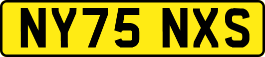 NY75NXS