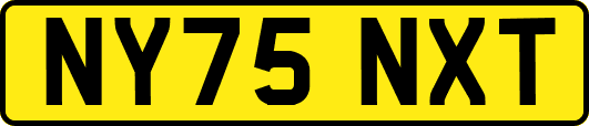 NY75NXT