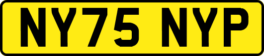 NY75NYP