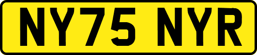 NY75NYR
