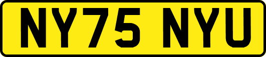 NY75NYU