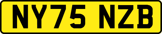 NY75NZB