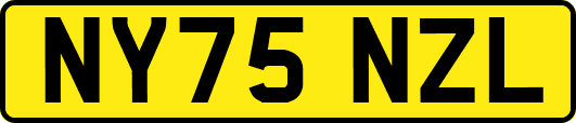 NY75NZL