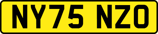 NY75NZO