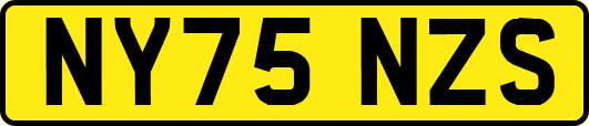 NY75NZS