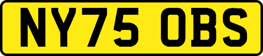 NY75OBS
