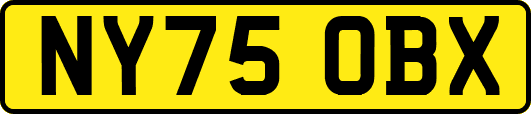 NY75OBX
