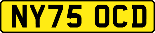 NY75OCD