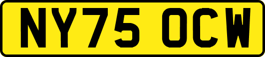 NY75OCW