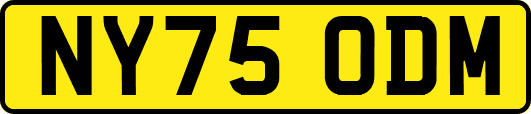 NY75ODM