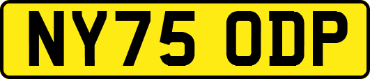 NY75ODP