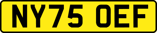 NY75OEF