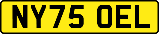 NY75OEL