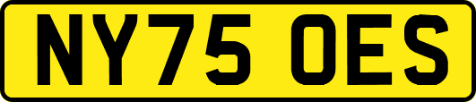 NY75OES