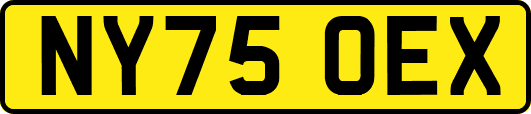 NY75OEX