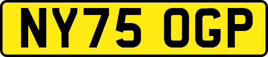 NY75OGP