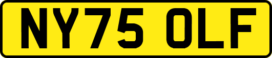 NY75OLF