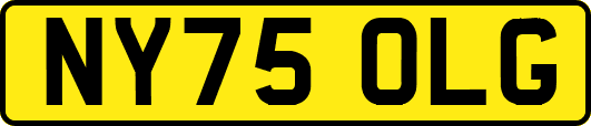 NY75OLG