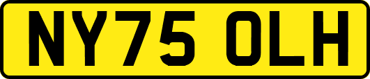 NY75OLH