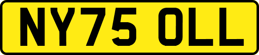 NY75OLL
