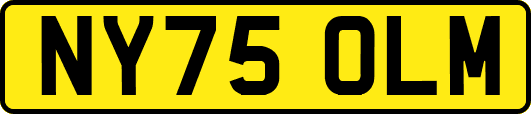 NY75OLM