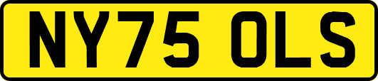 NY75OLS