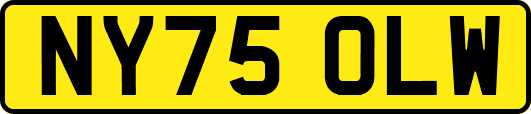 NY75OLW
