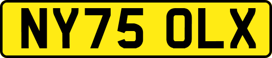 NY75OLX