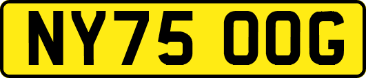 NY75OOG