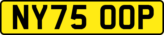 NY75OOP