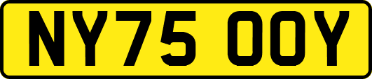 NY75OOY