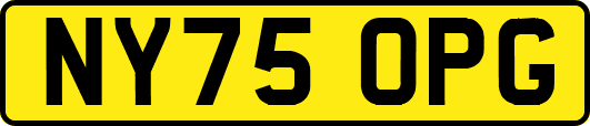 NY75OPG