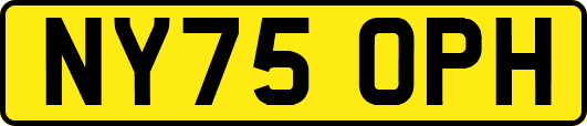 NY75OPH