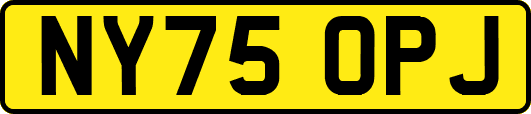 NY75OPJ