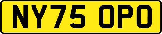 NY75OPO