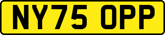 NY75OPP