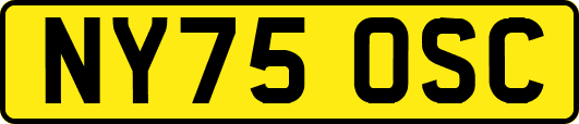NY75OSC
