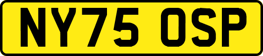 NY75OSP
