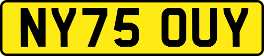 NY75OUY