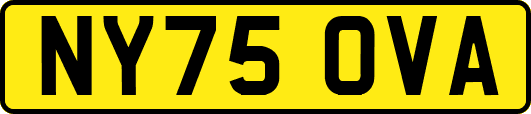 NY75OVA