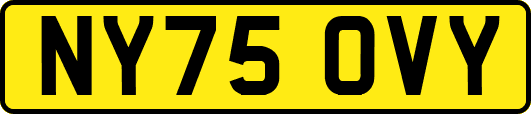 NY75OVY