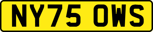 NY75OWS