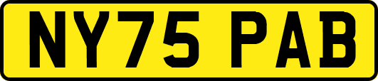 NY75PAB